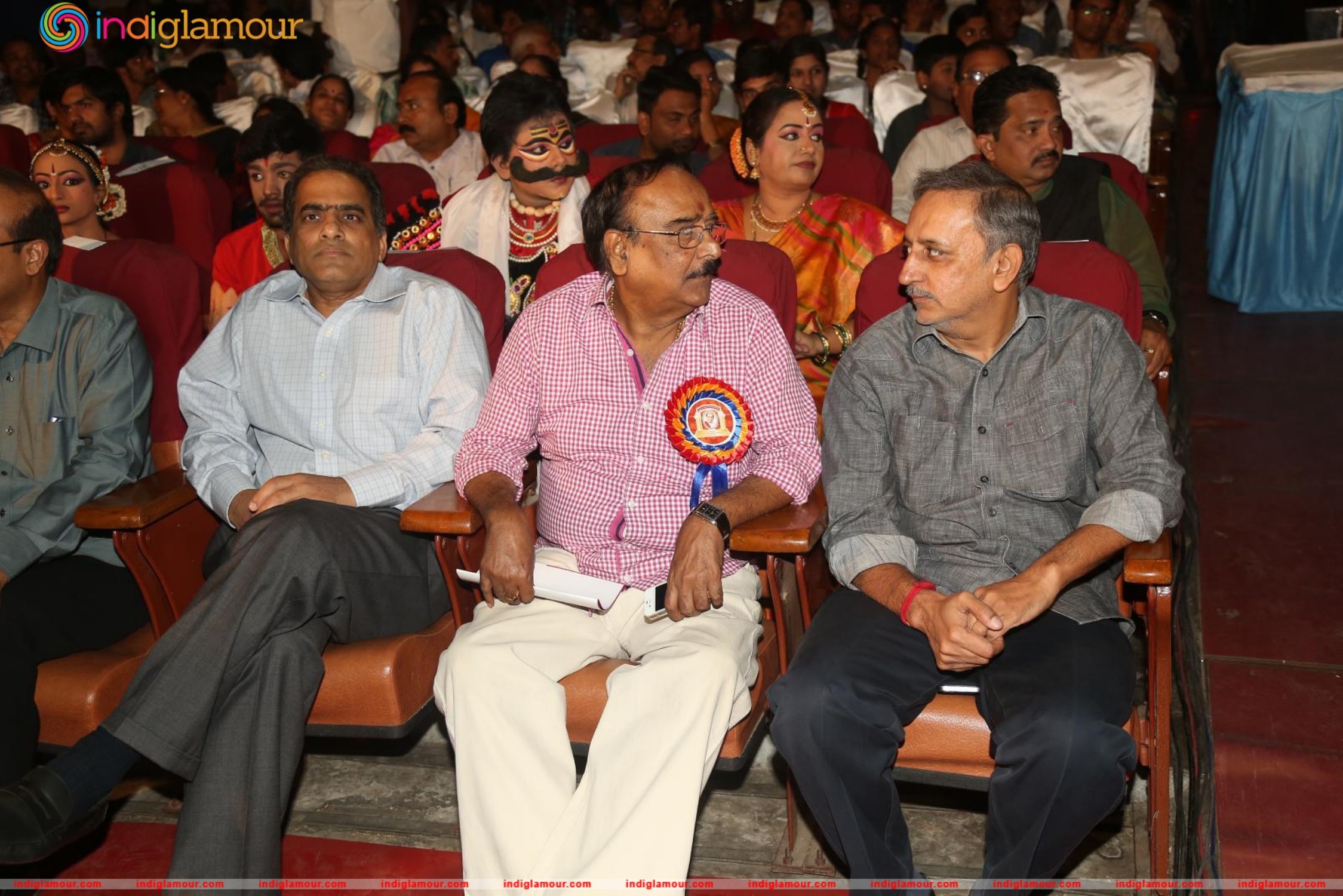 Allu Ramalingaiah National Award 2015 Event hd photo