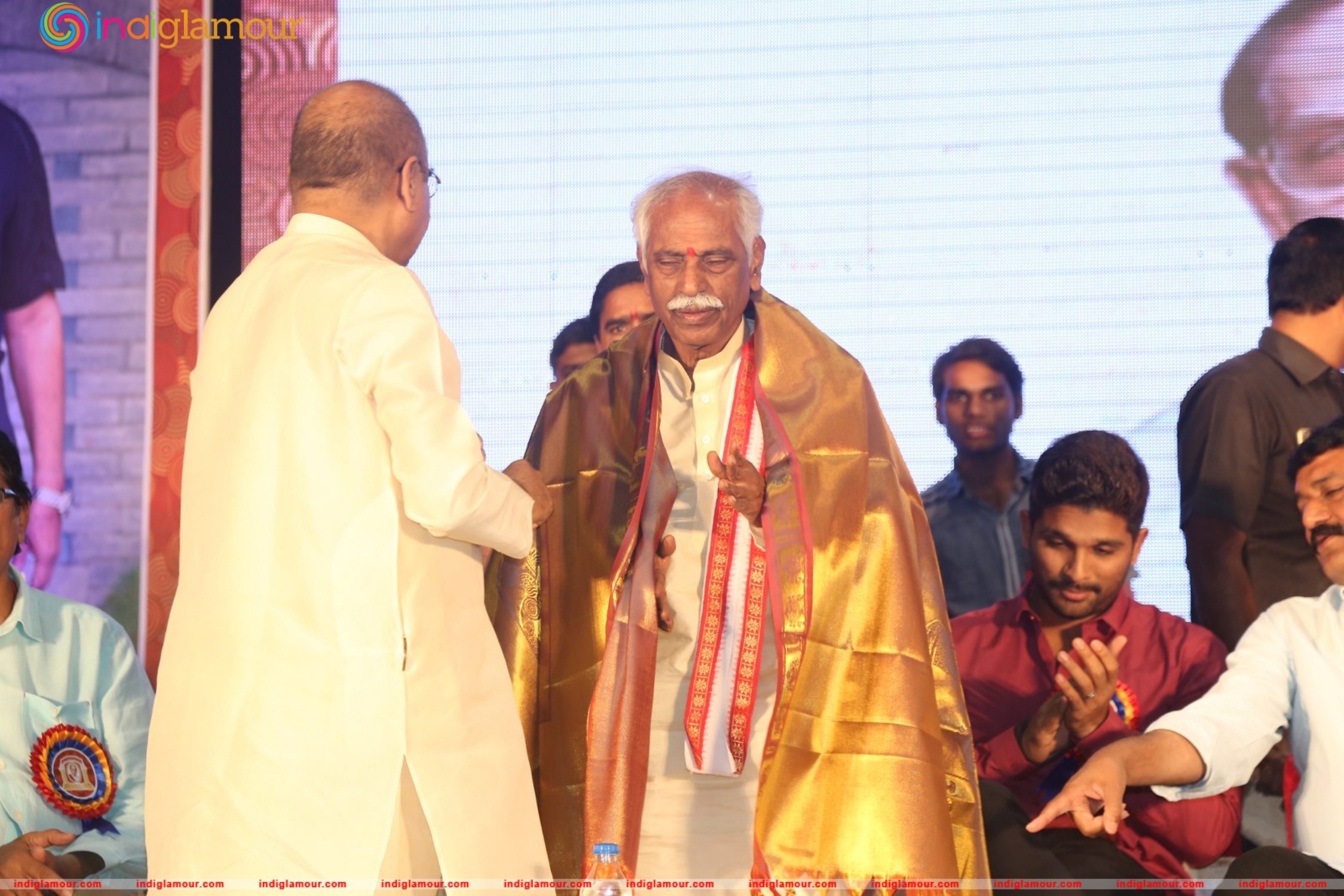 Allu Ramalingaiah National Award 2015 Event hd photo