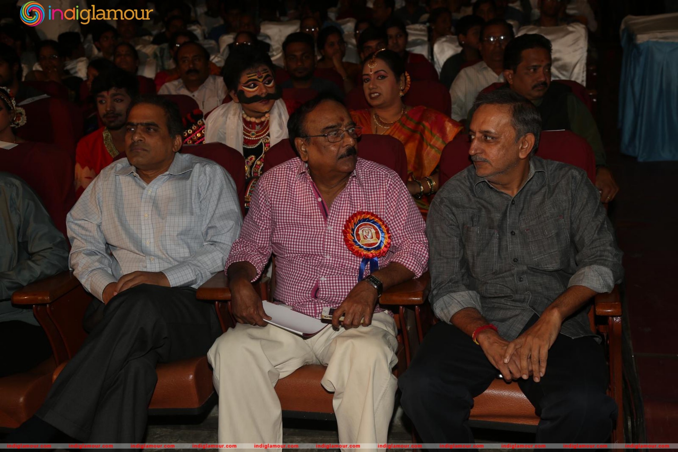 Allu Ramalingaiah National Award 2015 Event hd photo