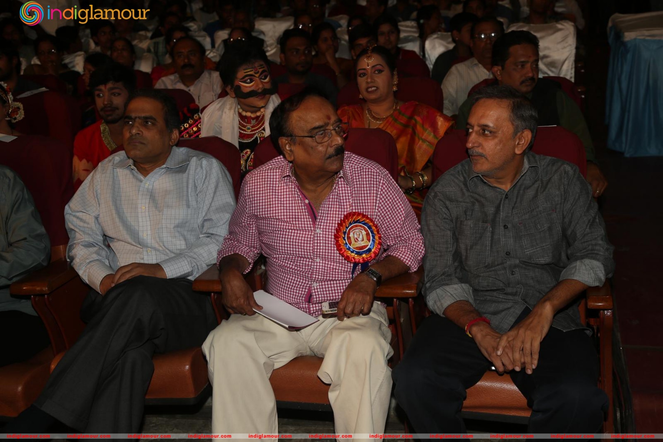 Allu Ramalingaiah National Award 2015 Event hd photo