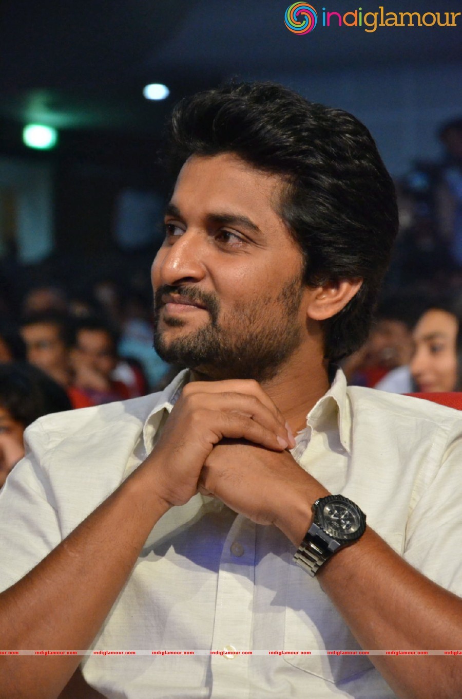 Krishna Gadi Veera Premagaadha Movie Audio Launch Event Photo Gallery Event hd photo