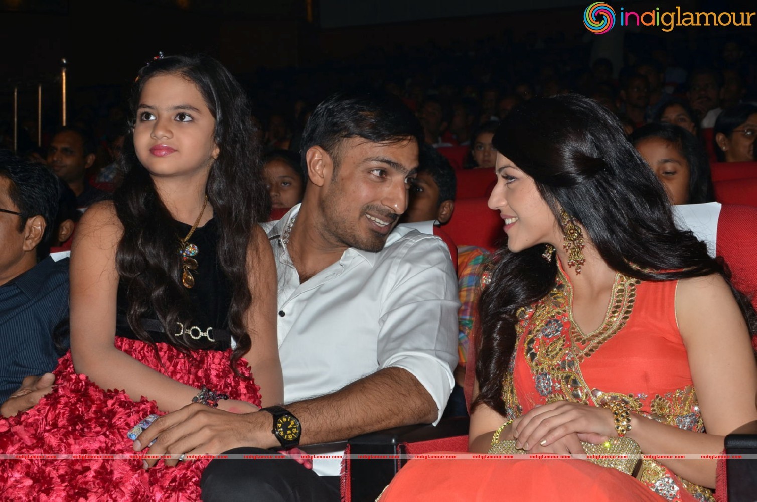 Krishna Gadi Veera Premagaadha Movie Audio Launch Event Photo Gallery Event hd photo