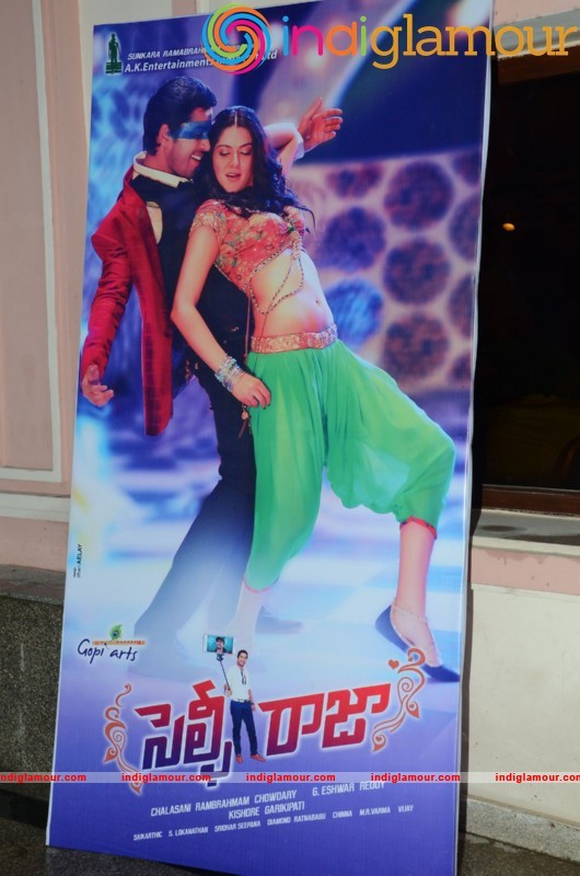 Selfi Raja Song Launch Event hd photo