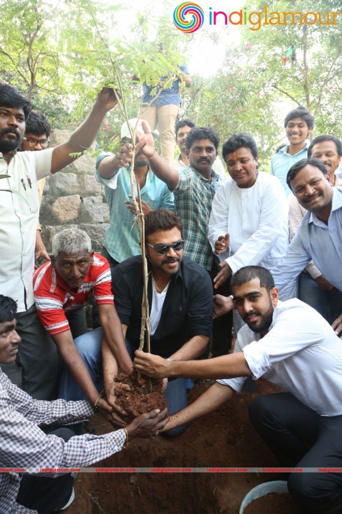 Daggubati Venkatesh At Haritha Haram Event Event hd photo
