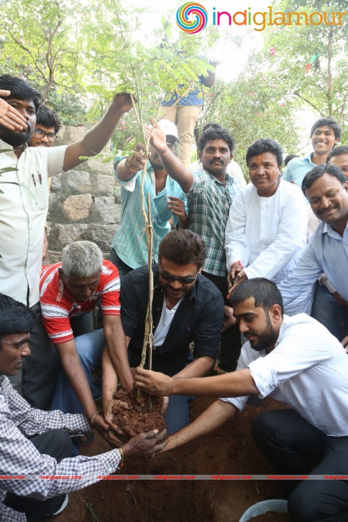 Daggubati Venkatesh At Haritha Haram Event Event hd photo