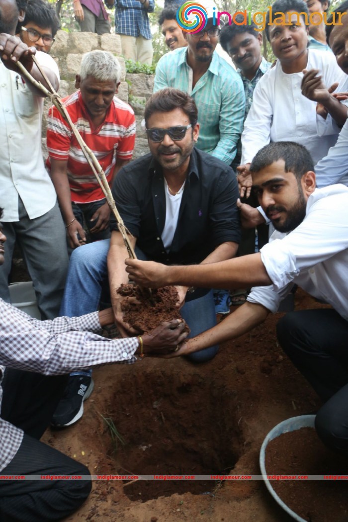 Daggubati Venkatesh At Haritha Haram Event Event hd photo