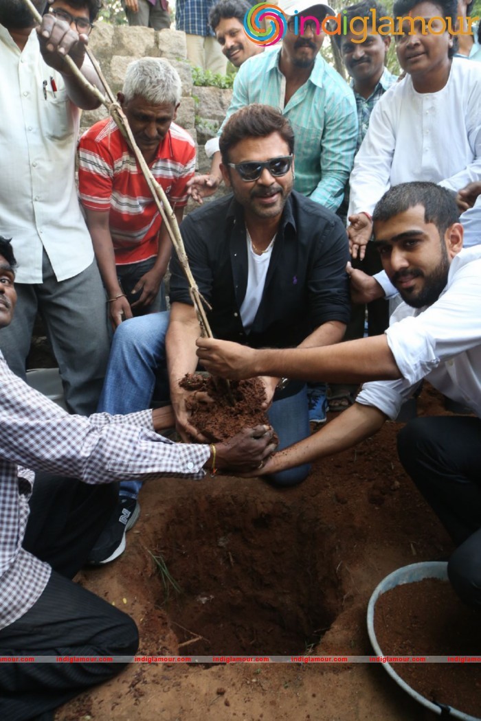 Daggubati Venkatesh At Haritha Haram Event Event hd photo