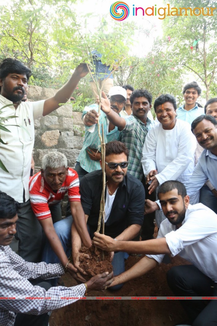 Daggubati Venkatesh At Haritha Haram Event Event hd photo
