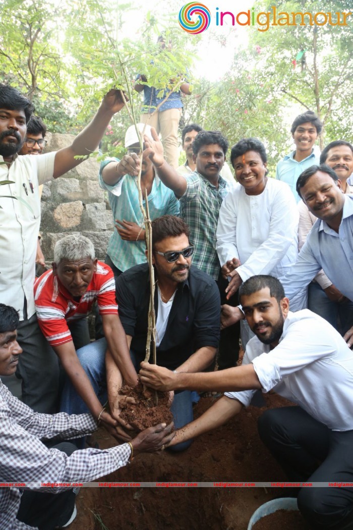 Daggubati Venkatesh At Haritha Haram Event Event hd photo