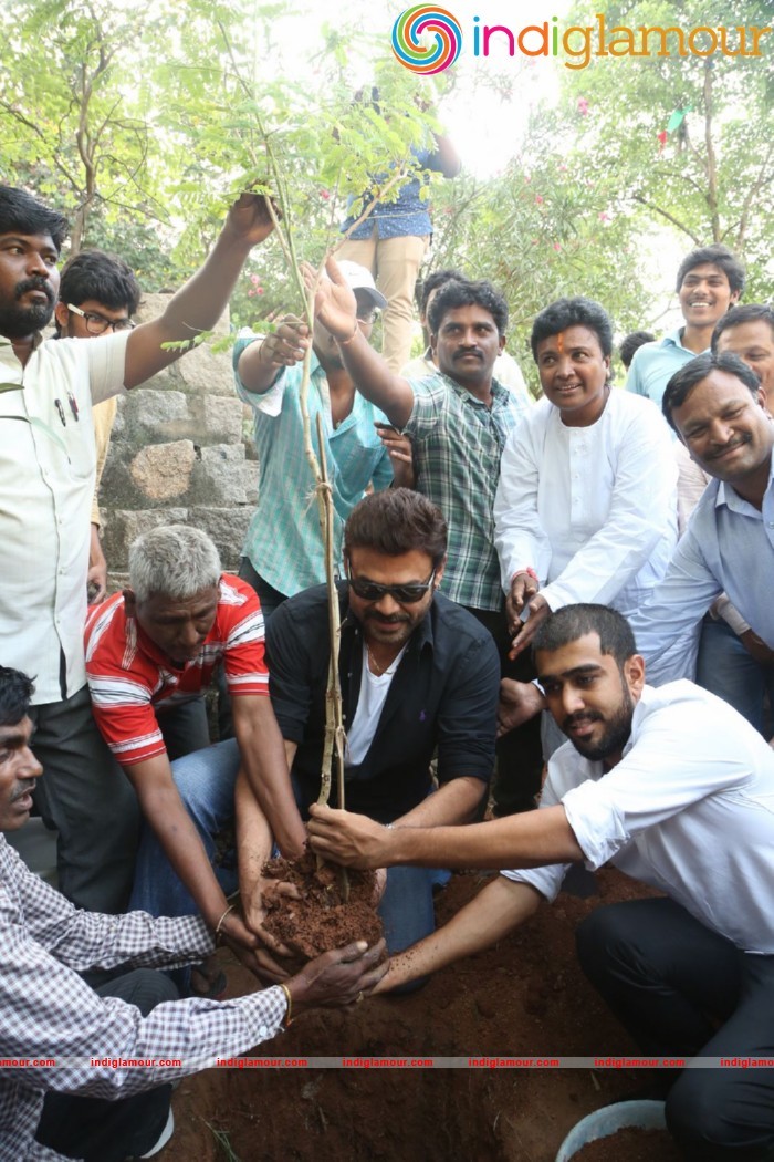 Daggubati Venkatesh At Haritha Haram Event Event hd photo