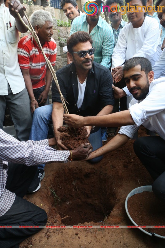 Daggubati Venkatesh At Haritha Haram Event Event hd photo