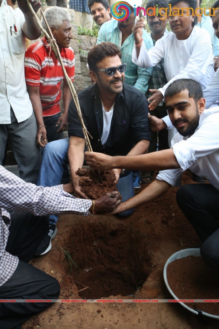Daggubati Venkatesh At Haritha Haram Event Event hd photo