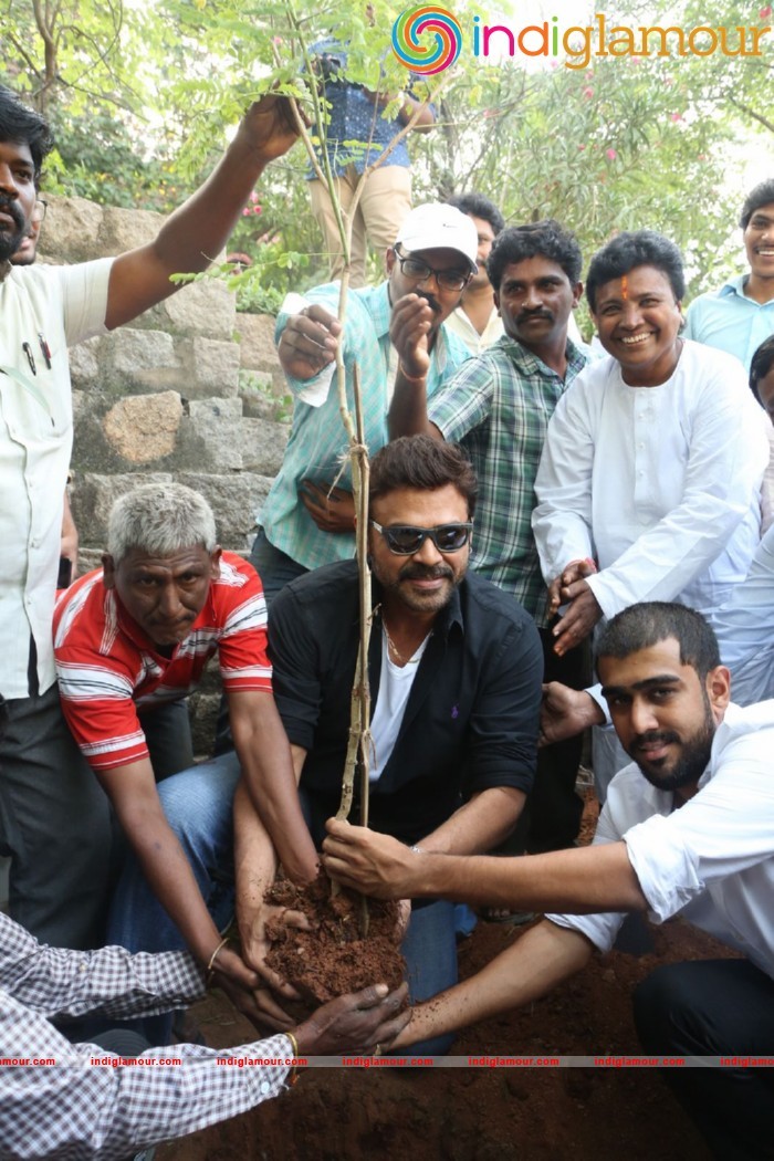 Daggubati Venkatesh At Haritha Haram Event Event hd photo