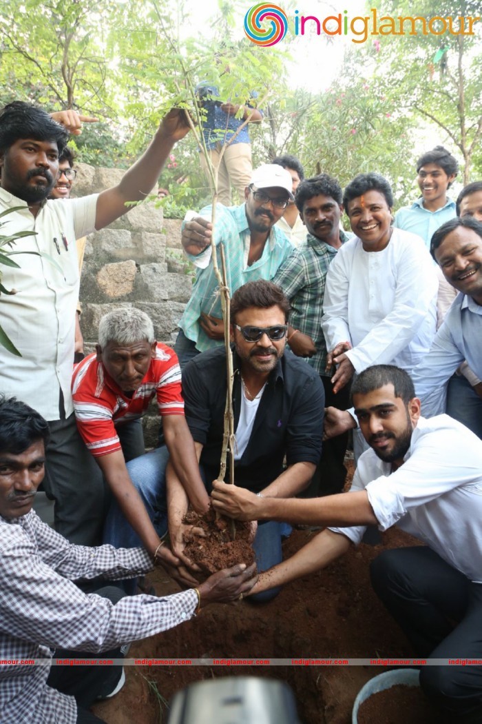 Daggubati Venkatesh At Haritha Haram Event Event hd photo