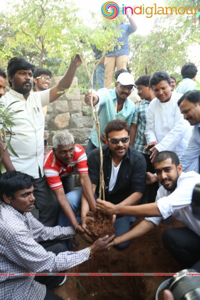 Daggubati Venkatesh At Haritha Haram Event Event hd photo