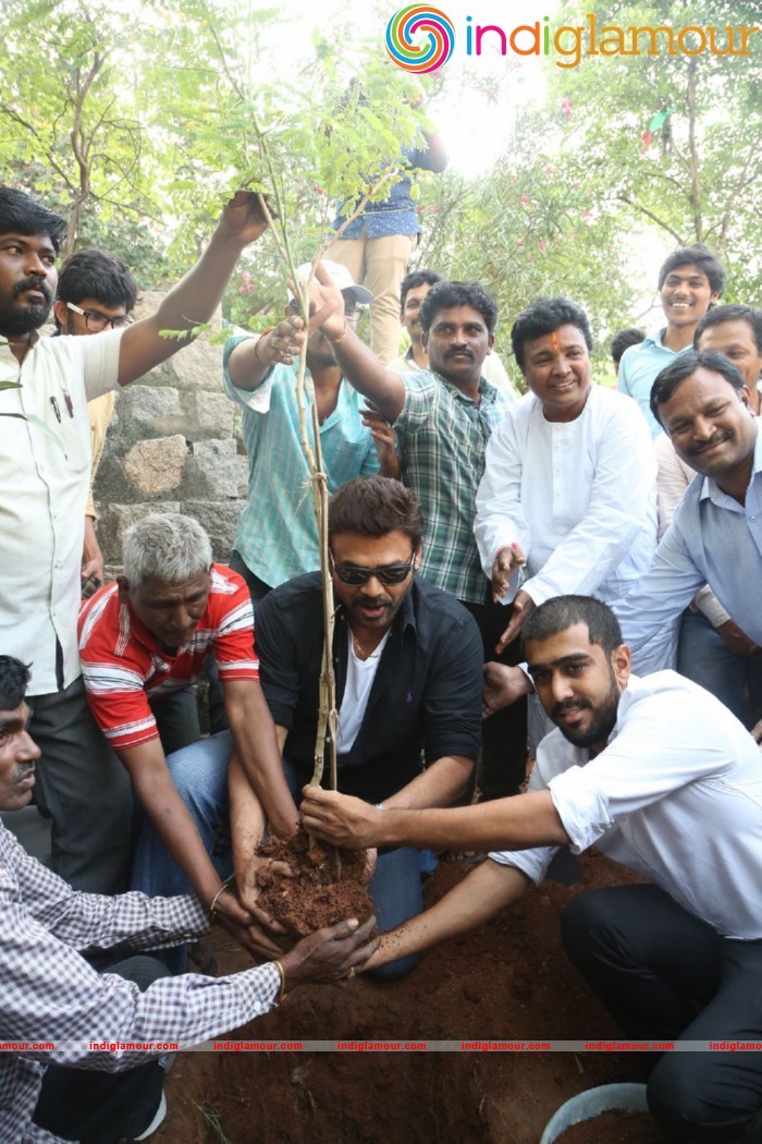 Daggubati Venkatesh At Haritha Haram Event Event hd photo