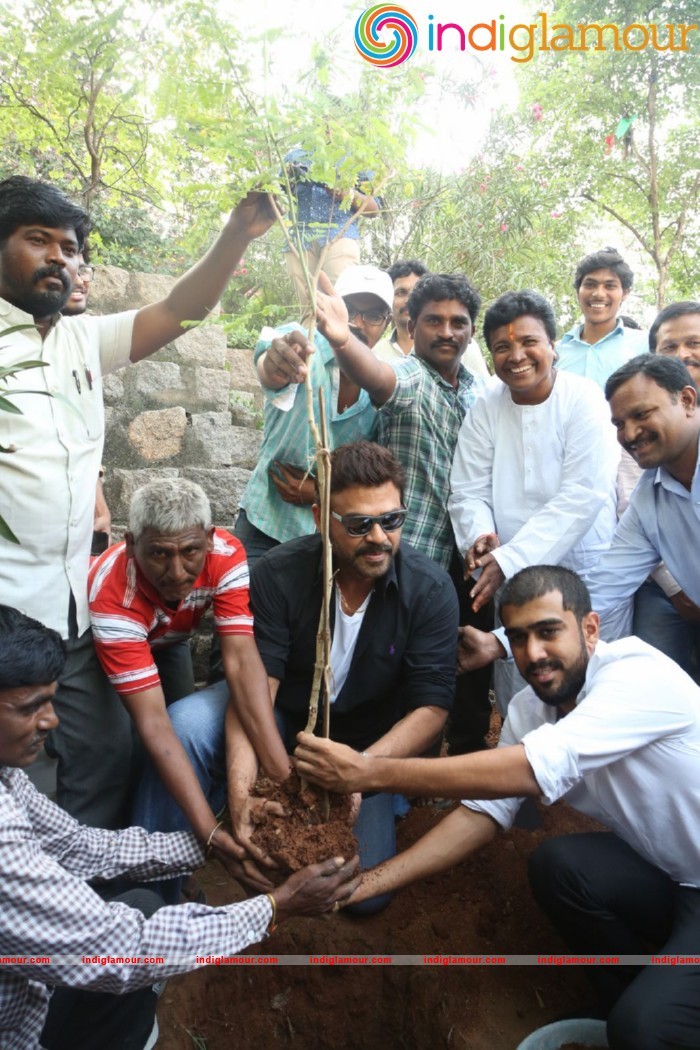 Daggubati Venkatesh At Haritha Haram Event Event hd photo