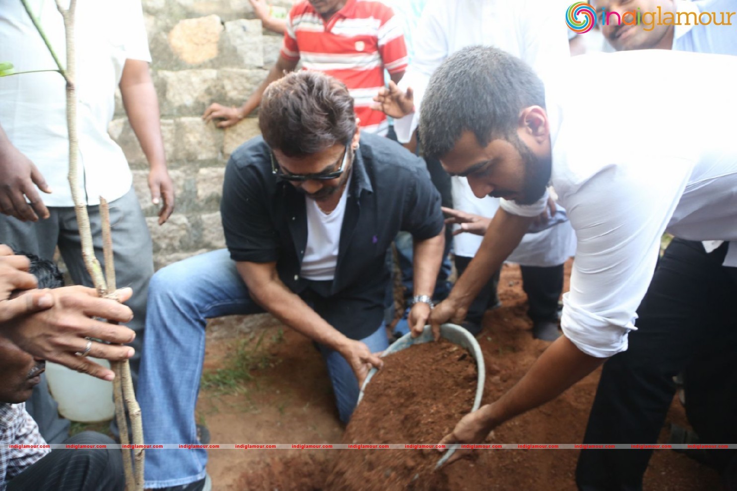 Daggubati Venkatesh At Haritha Haram Event Event hd photo