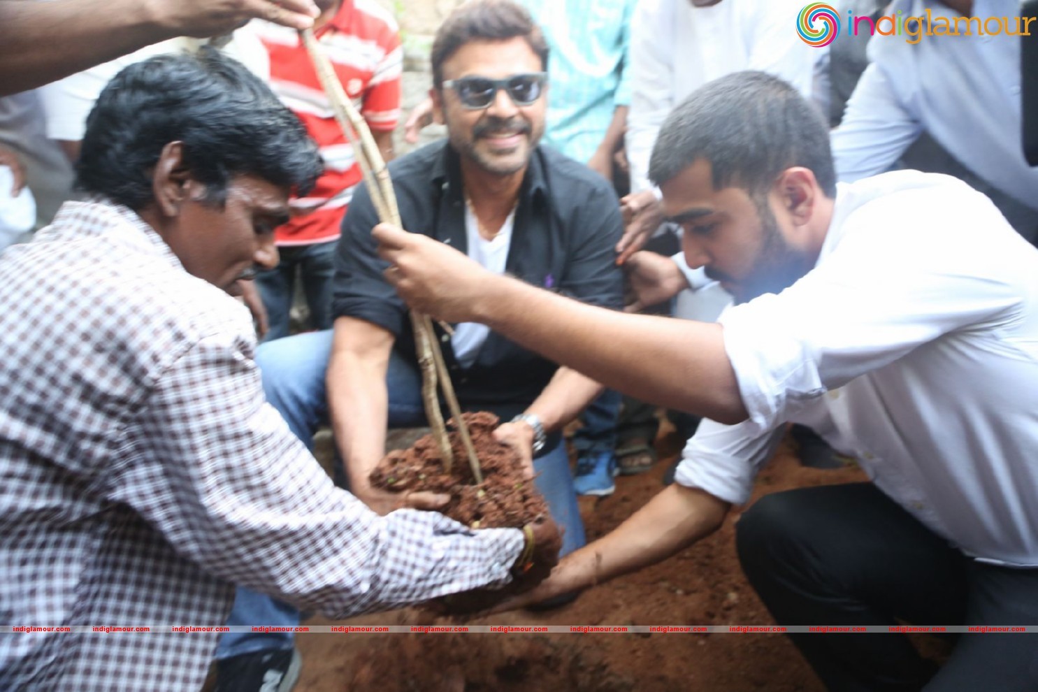 Daggubati Venkatesh At Haritha Haram Event Event hd photo