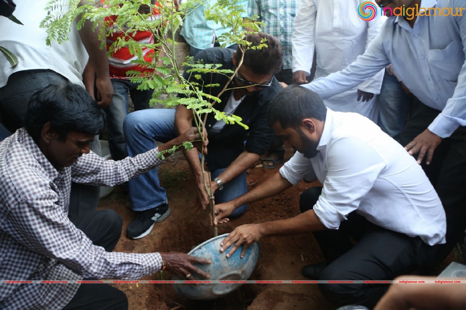 Daggubati Venkatesh At Haritha Haram Event Event hd photo
