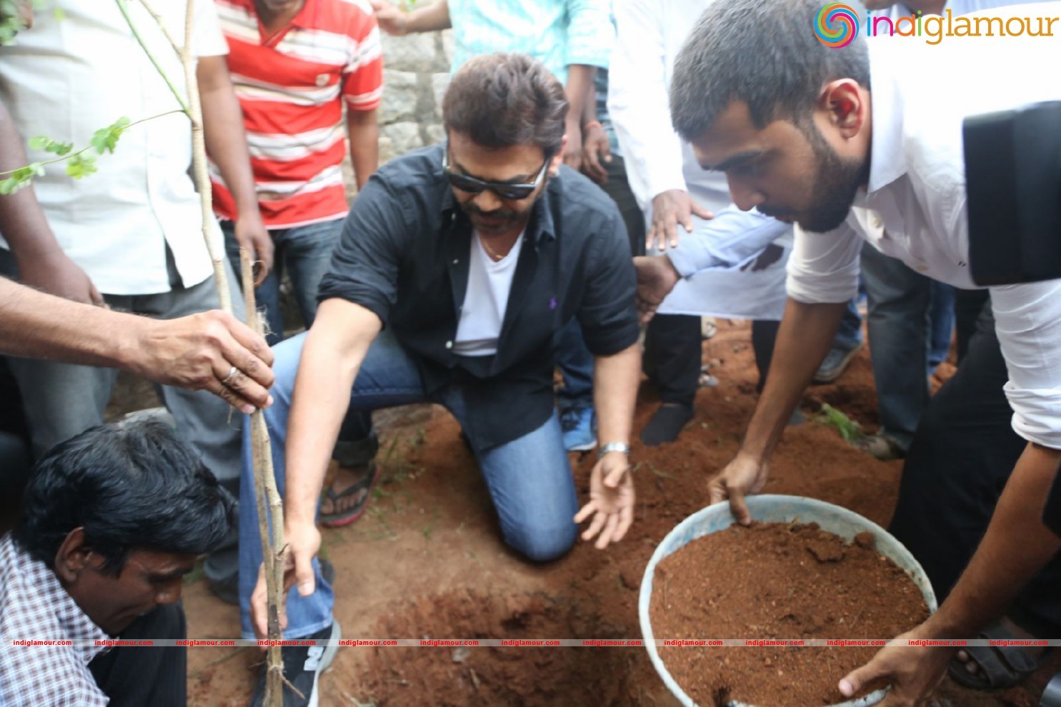 Daggubati Venkatesh At Haritha Haram Event Event hd photo