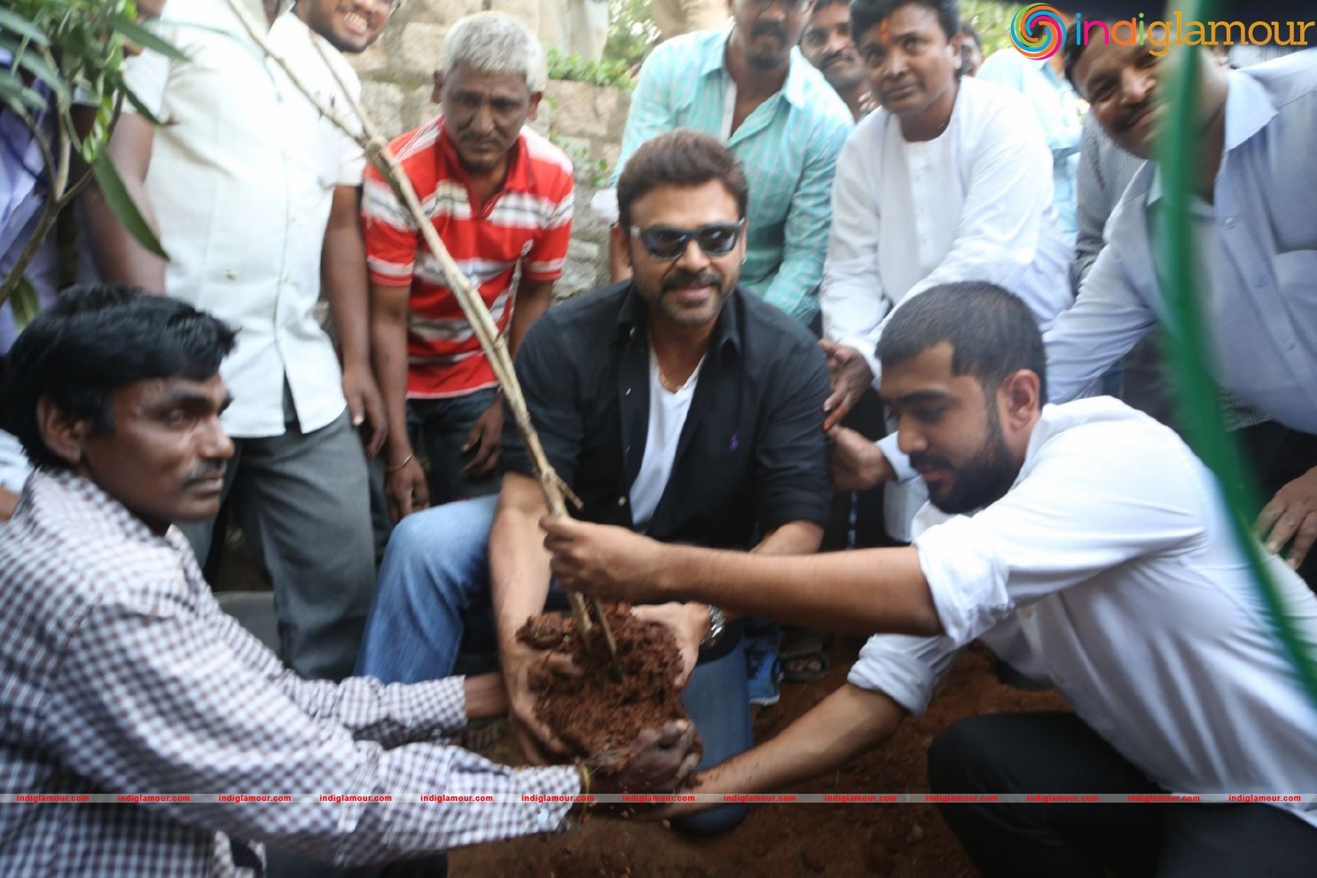 Daggubati Venkatesh At Haritha Haram Event Event hd photo