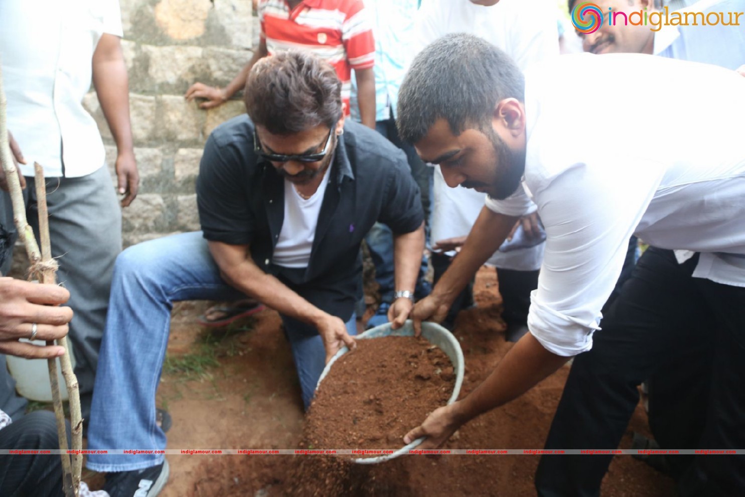 Daggubati Venkatesh At Haritha Haram Event Event hd photo
