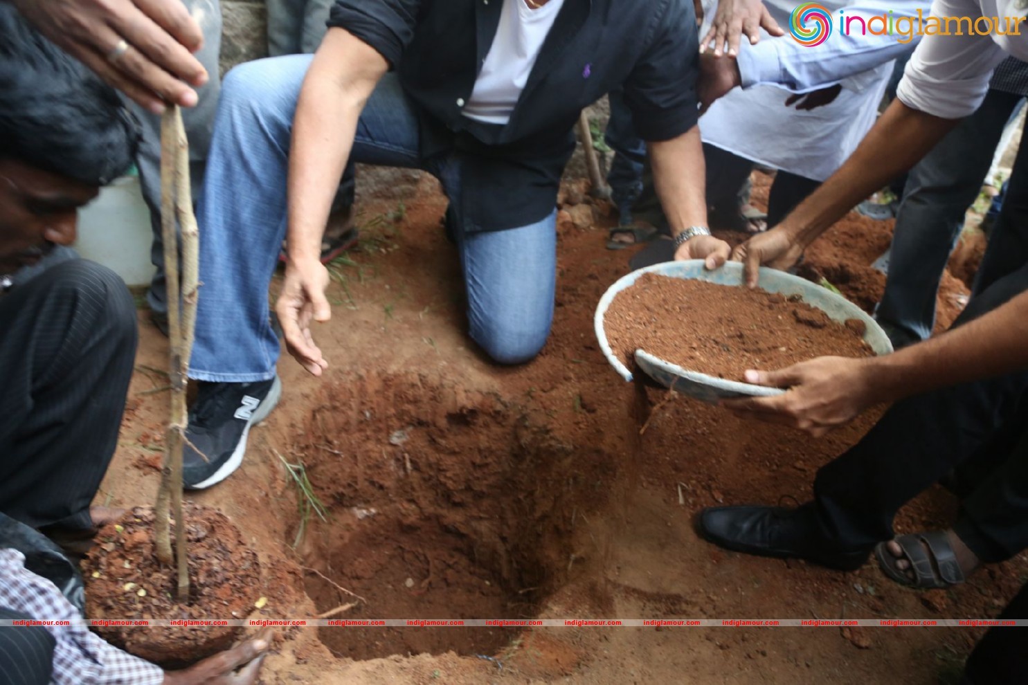 Daggubati Venkatesh At Haritha Haram Event Event hd photo