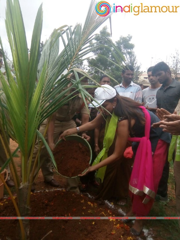 Manchu Lakshmi Participated Haritha Haram Event Event hd photo