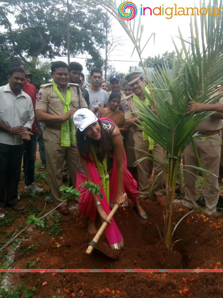 Manchu Lakshmi Participated Haritha Haram Event Event hd photo