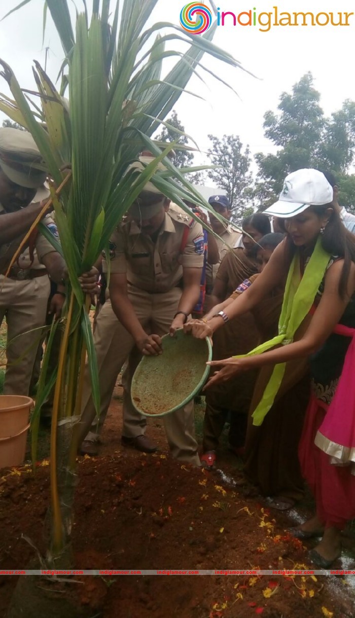 Manchu Lakshmi Participated Haritha Haram Event Event hd photo