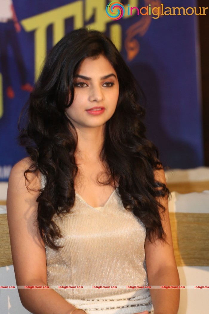 Selfie Raja movie success meet Event hd photo