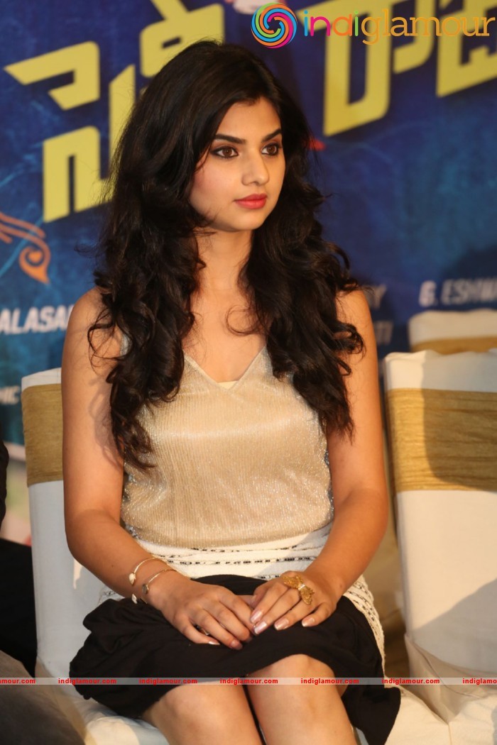 Selfie Raja movie success meet Event hd photo