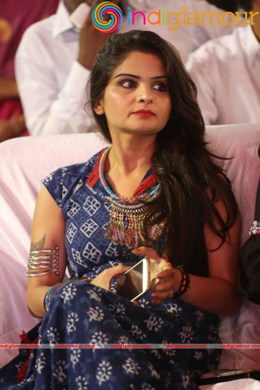 Happy Birthday Movie Audio Launch Event hd photo