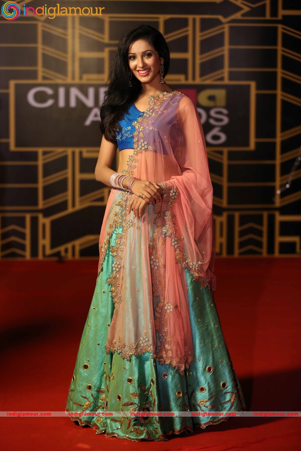 CineMAA Awards 2016 Red Carpet Event hd photo