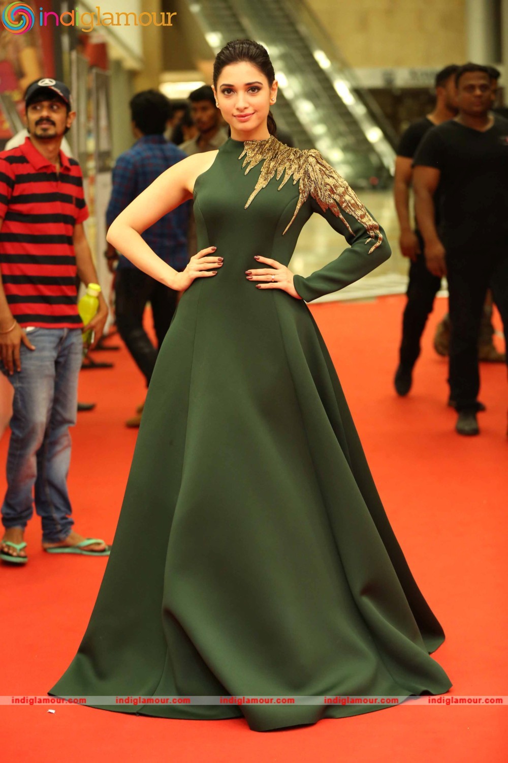 CineMAA Awards 2016 Red Carpet Event hd photo