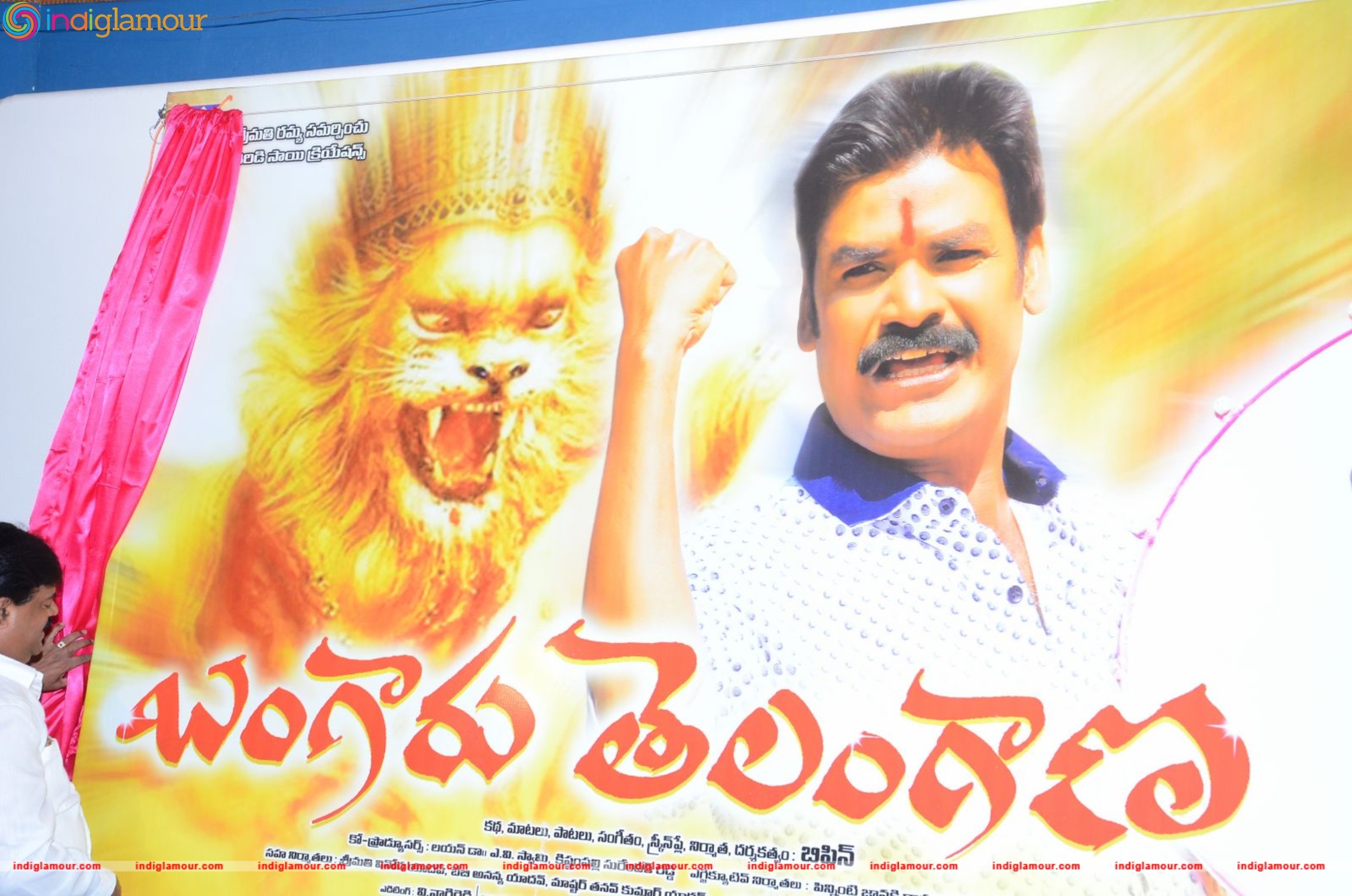 Bangaru Telangana Logo Launch Event hd photo