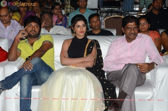 Rojulu Marayi Audio Launch Event hd photo