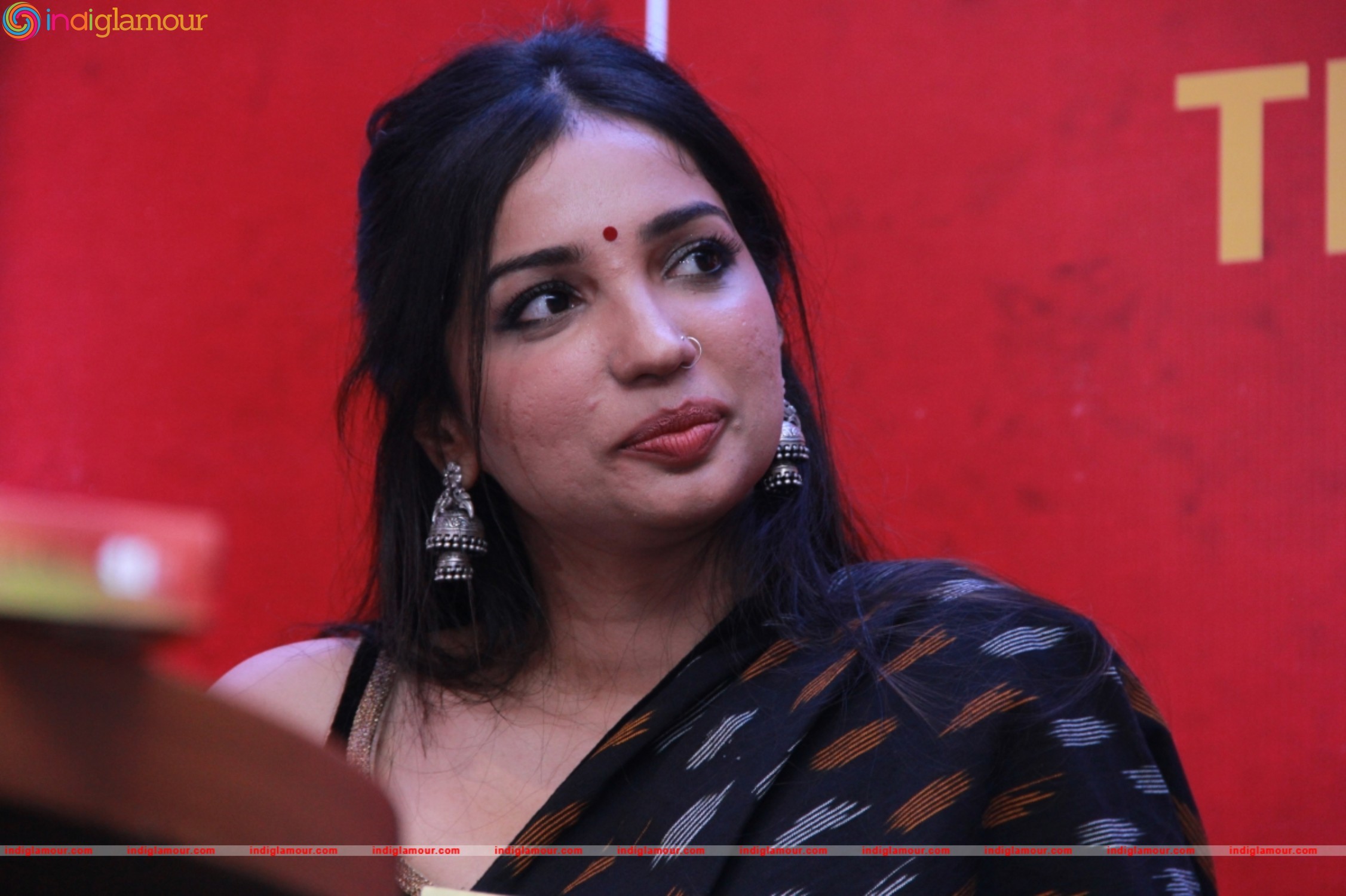 The Dance of Durga Book Launch Stills Event hd photo
