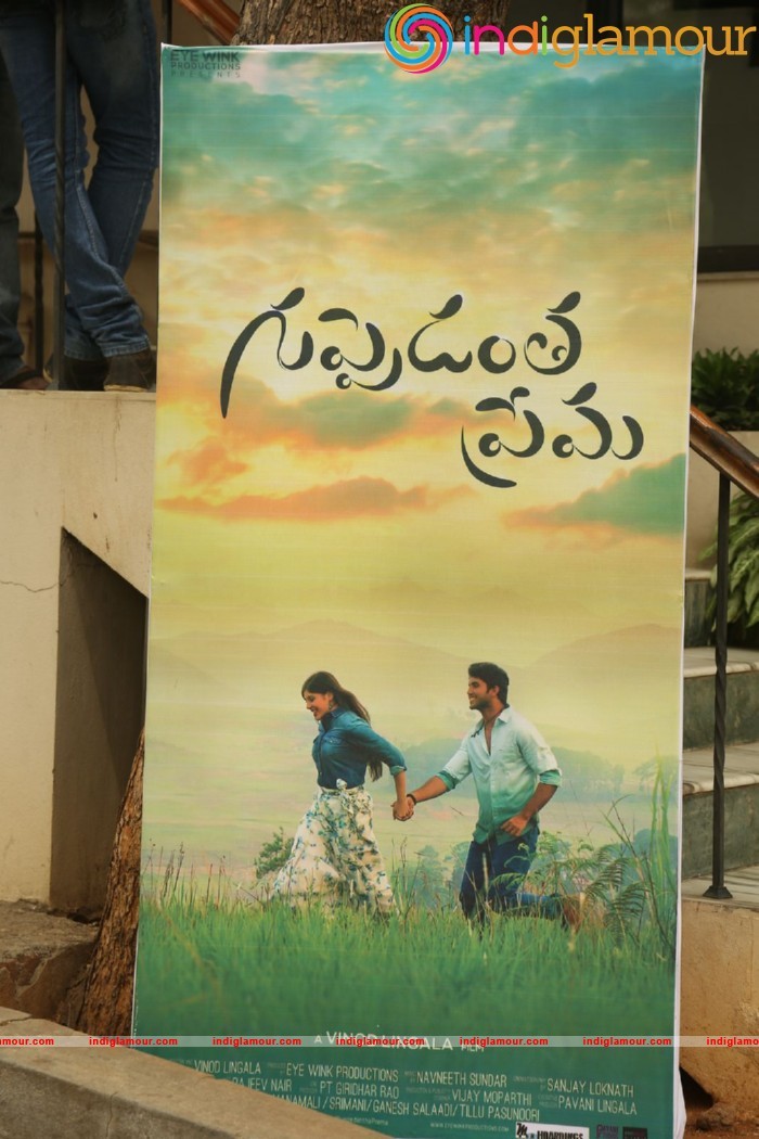 Guppedantha Prema Press Meet Event hd photo