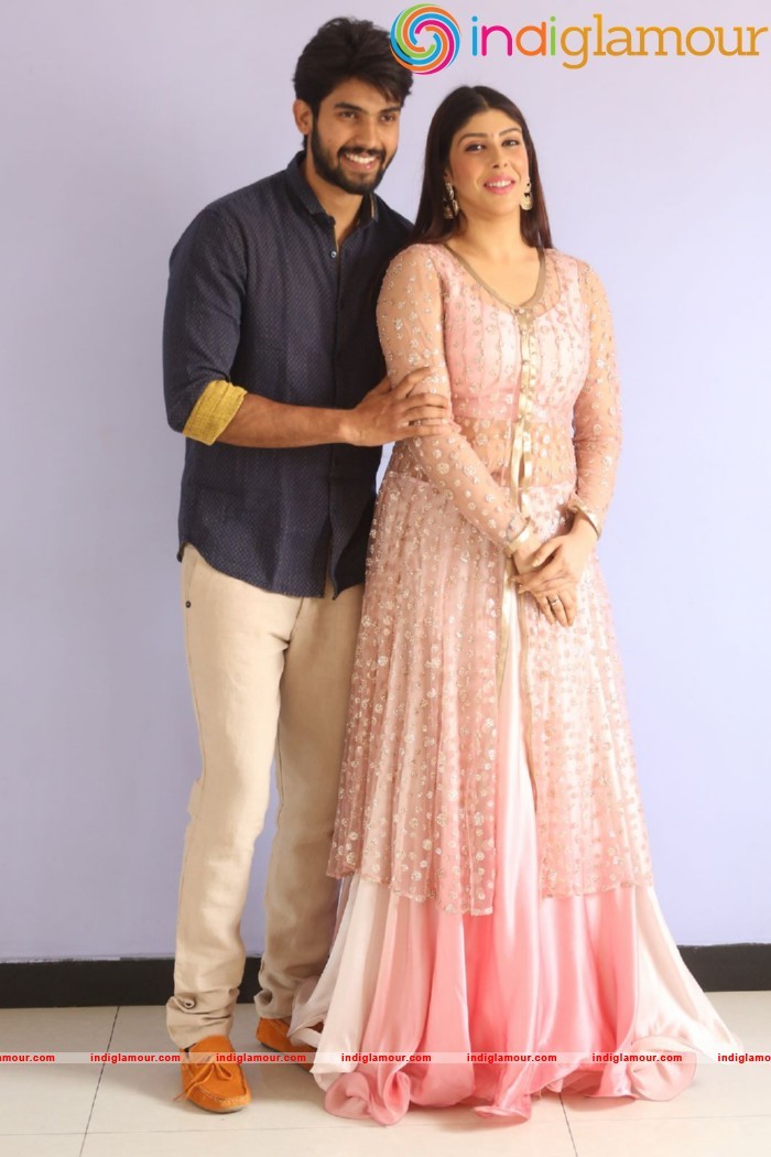 Guppedantha Prema Press Meet Event hd photo