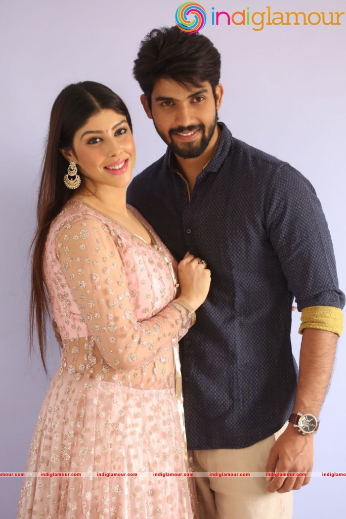 Guppedantha Prema Press Meet Event hd photo