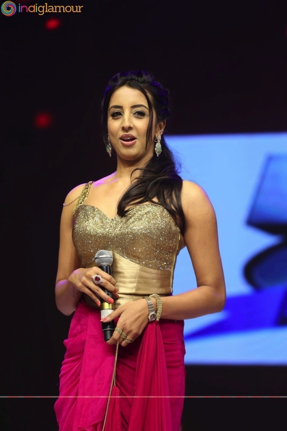 Sardaar Gabbar Singh Audio Launch Event hd photo