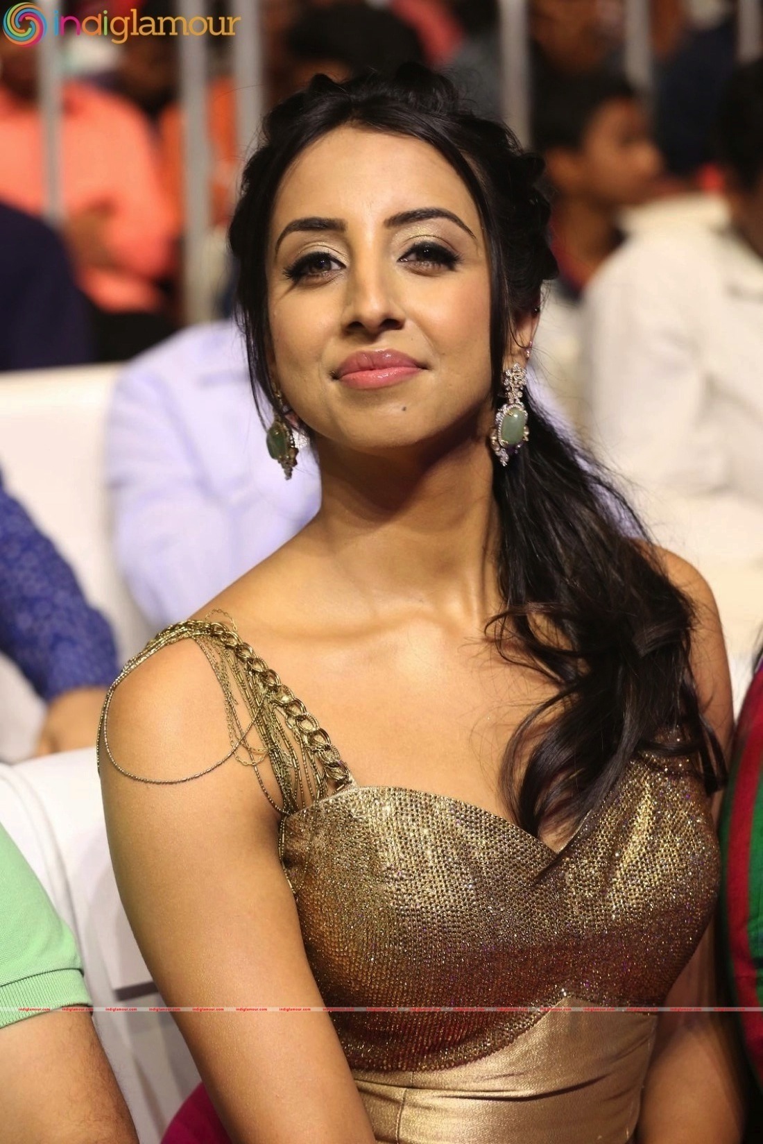 Sardaar Gabbar Singh Audio Launch Event hd photo