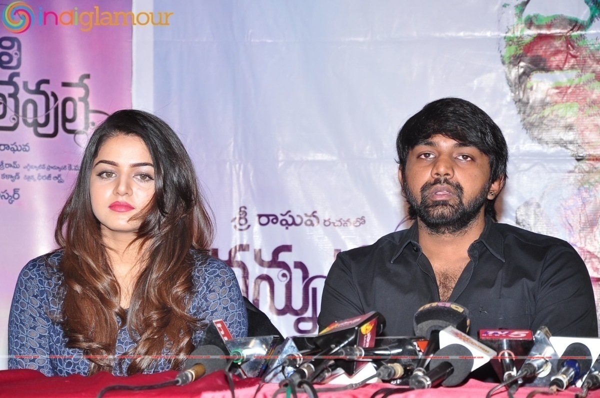 Nannu Vadili Neevu Polevule Movie Press Meet Event hd photo