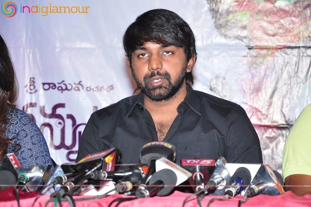Nannu Vadili Neevu Polevule Movie Press Meet Event hd photo