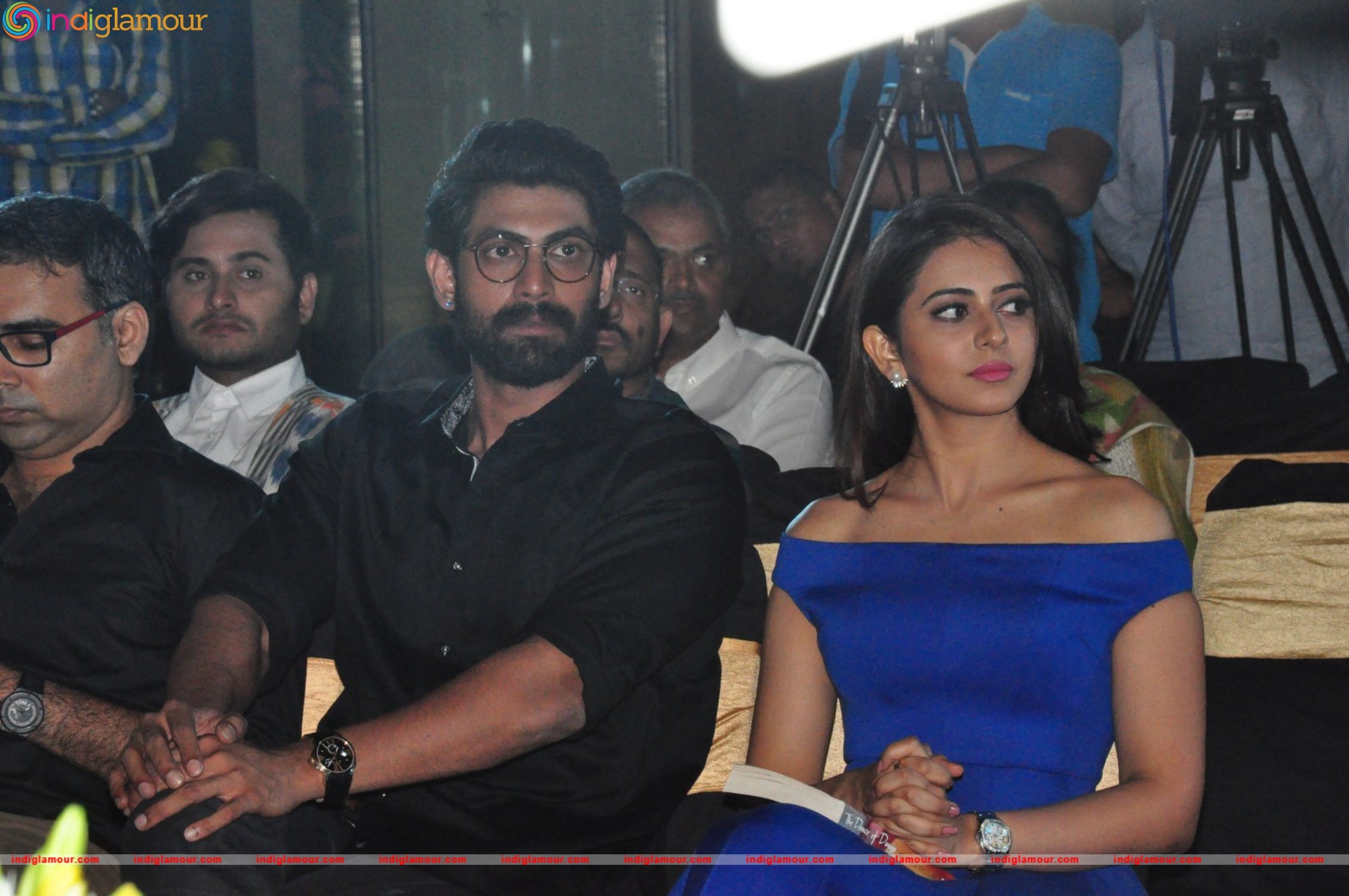 The Dance of Durga Book Launch Event hd photo