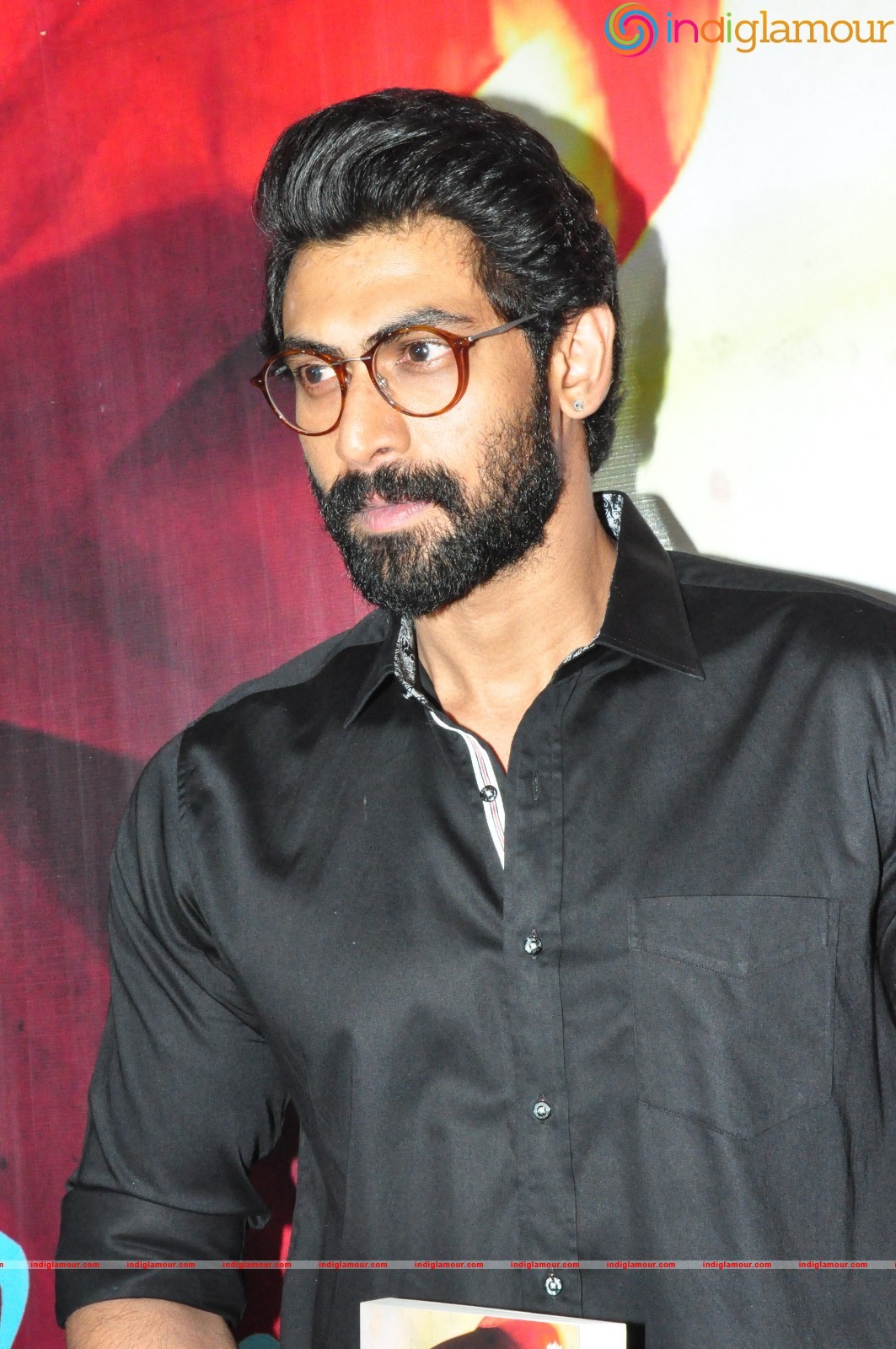 The Dance of Durga Book Launch Event hd photo