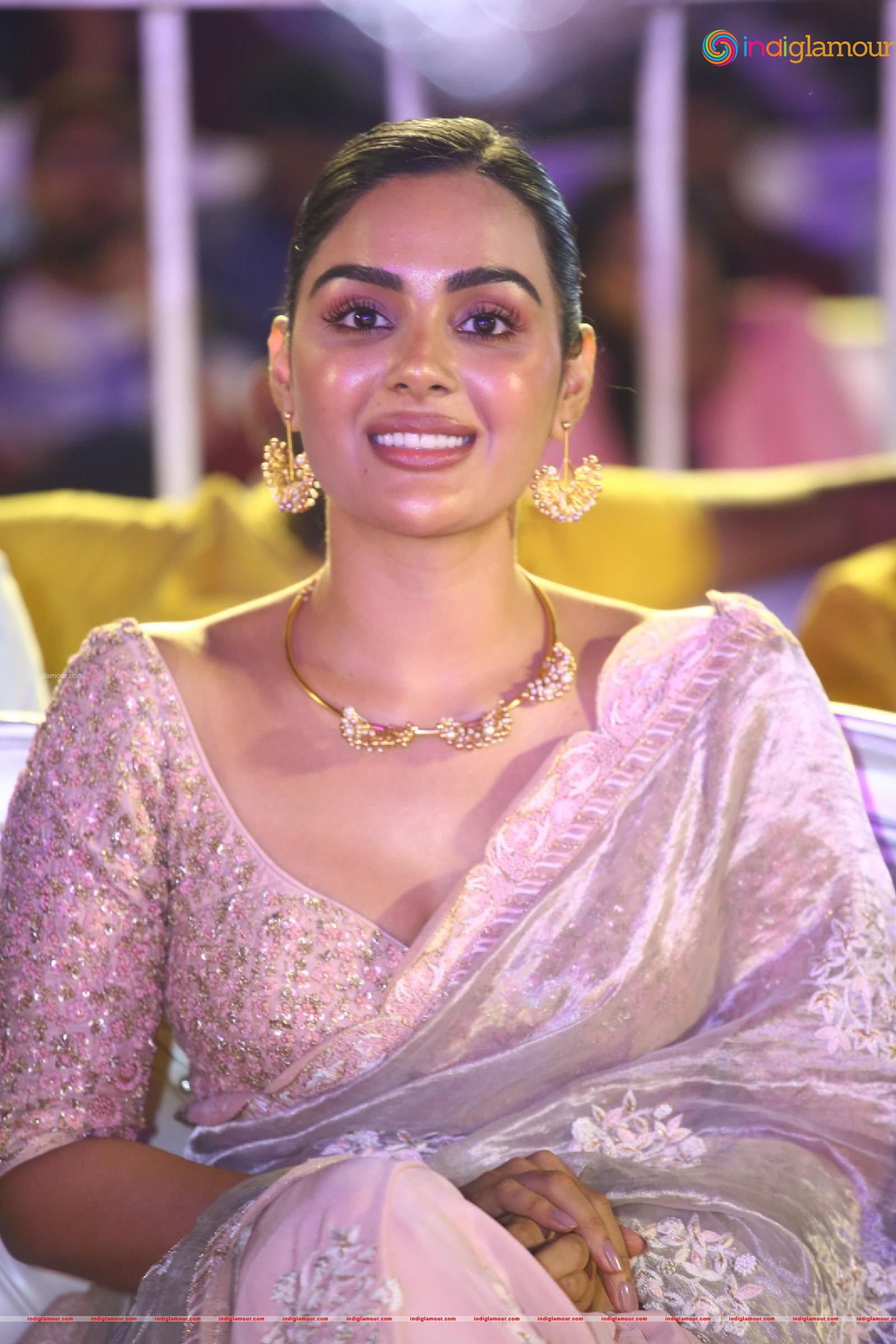 Bheemla Nayak Movie Pre Release Event Event hd photo