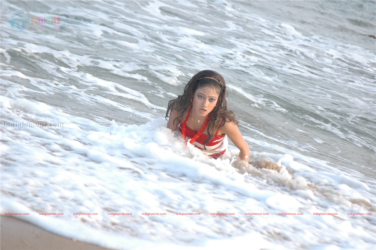Lovely Actress hd photo